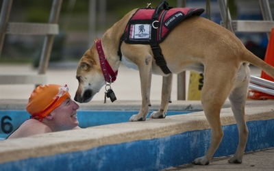 image for August 7-13 is International Assistance Dog Week